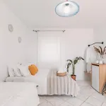 Dibellee Mykonos